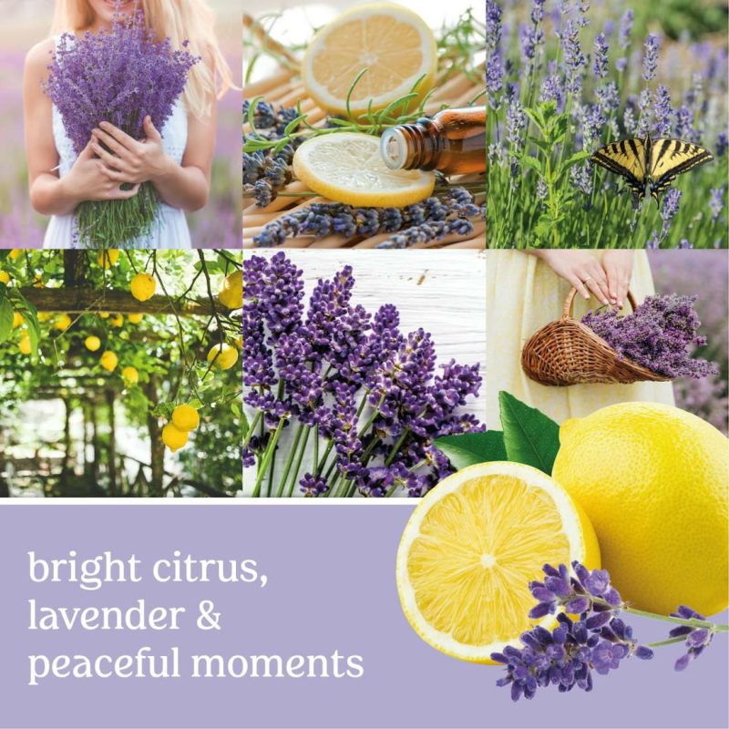 Signature Candles | Lemon Lavender Candles Signature Candles