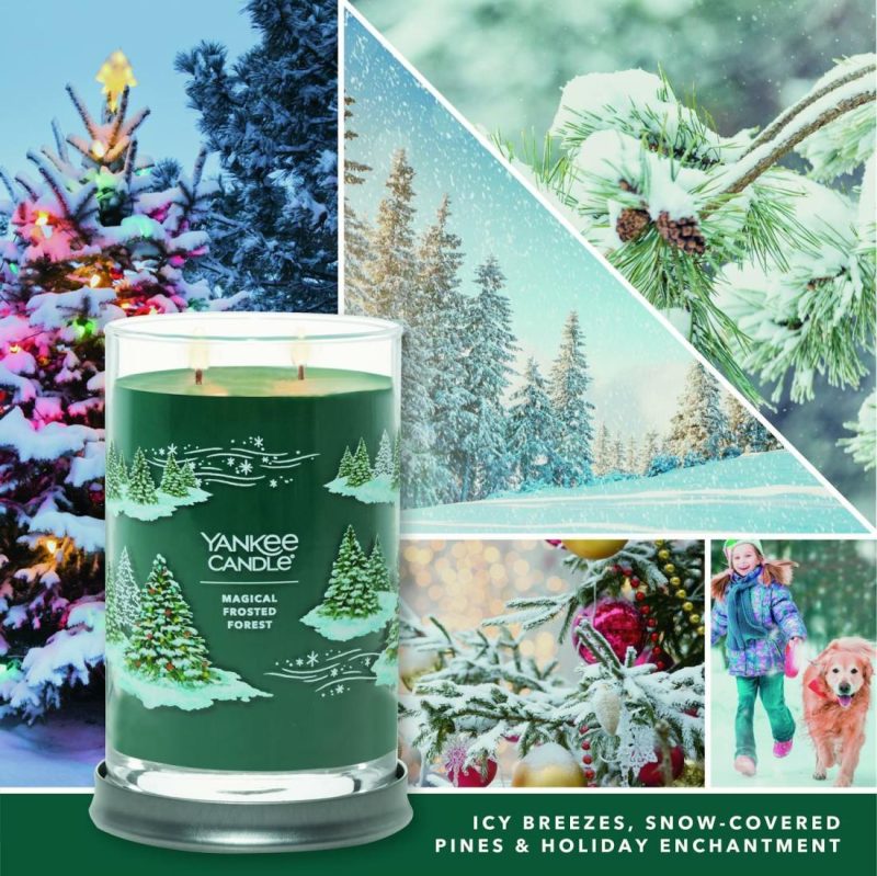 Signature Candles | Magical Frosted Forest Candles Signature Candles