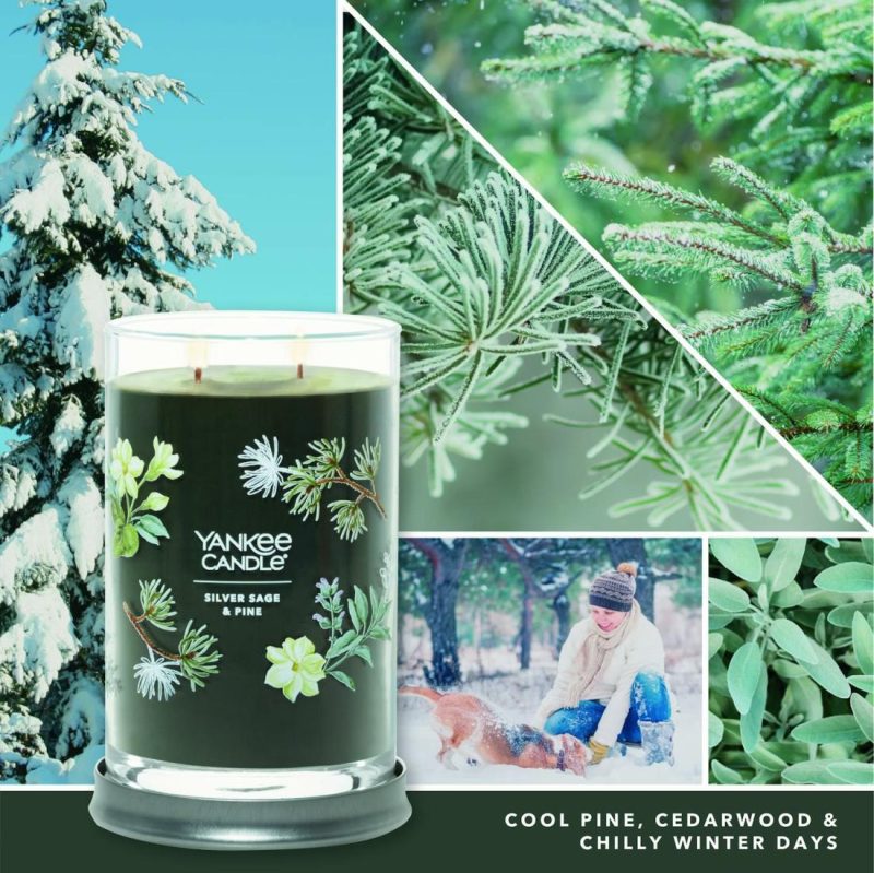 Signature Candles | Silver Sage & Pine Candles Signature Candles