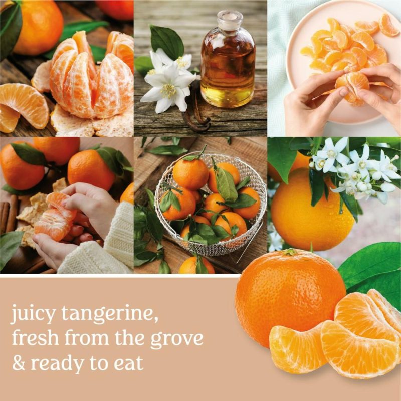 Signature Candles | Tangerine & Vanilla Candles Signature Candles