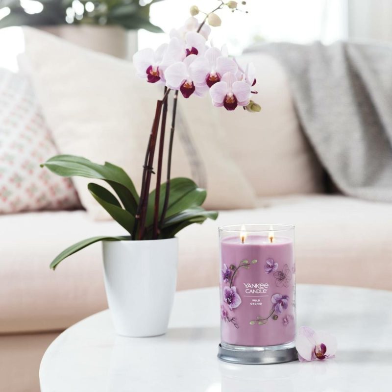 Signature Candles | Wild Orchid Candles Signature Candles