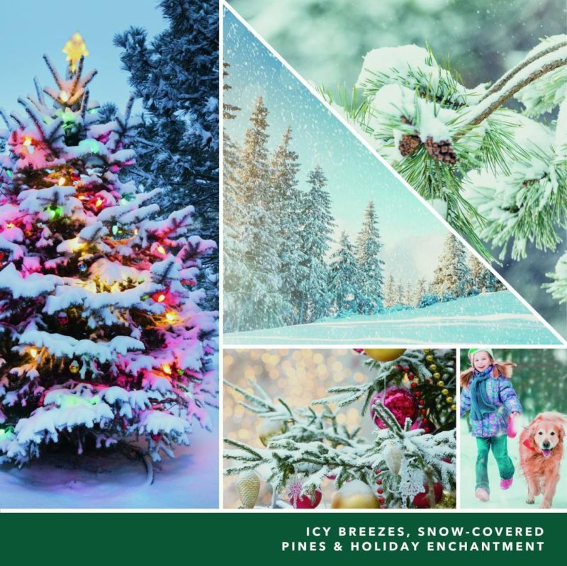 Studio Collection | Magical Frosted Forest Candles Studio Collection