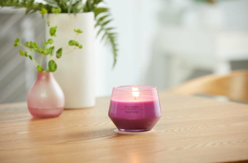 Studio Collection | Wild Orchid Candles Studio Collection